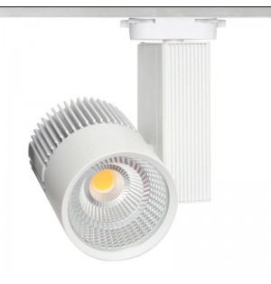 FOCO PROYECTOR LED 30W  6000K