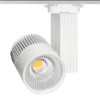 FOCO PROYECTOR LED 30W  6000K